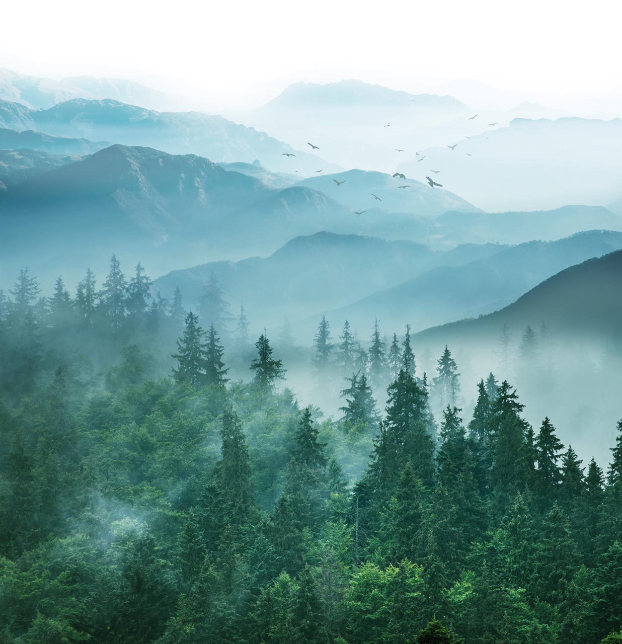 Фотообои Горы в тумане